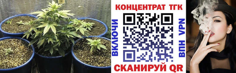 дарнет шоп  Мглин  ТГК гашишное масло 
