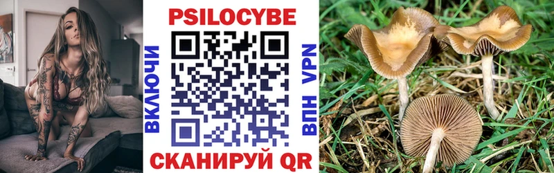 Галлюциногенные грибы Cubensis  Мглин 